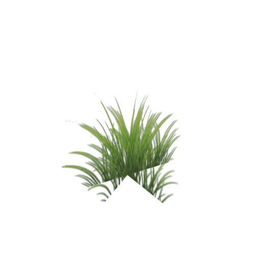 Grass Blade